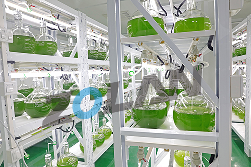 Production Facility 3