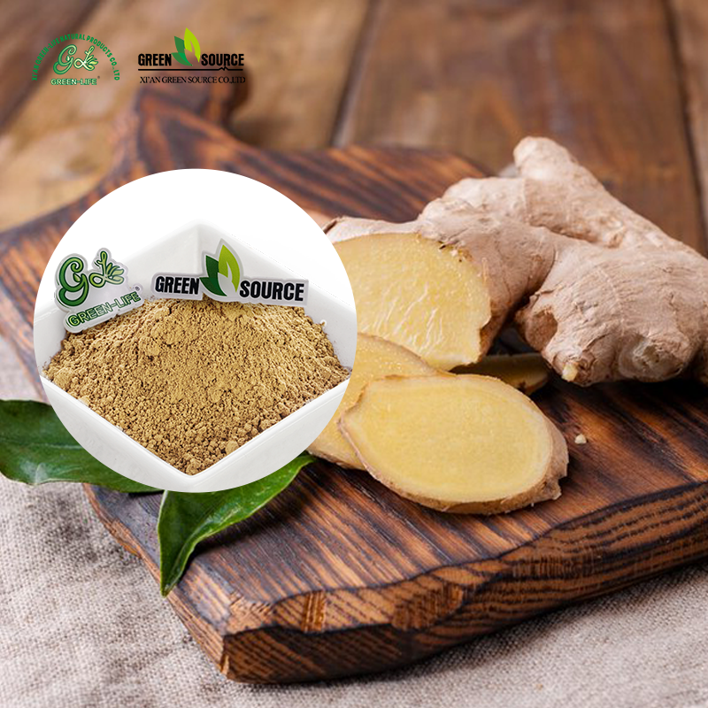 High Potency Ginger Root Extract Supplement 100 Water Soluble Natural Herbal Powder for Gut Health Anti Nausea Relief