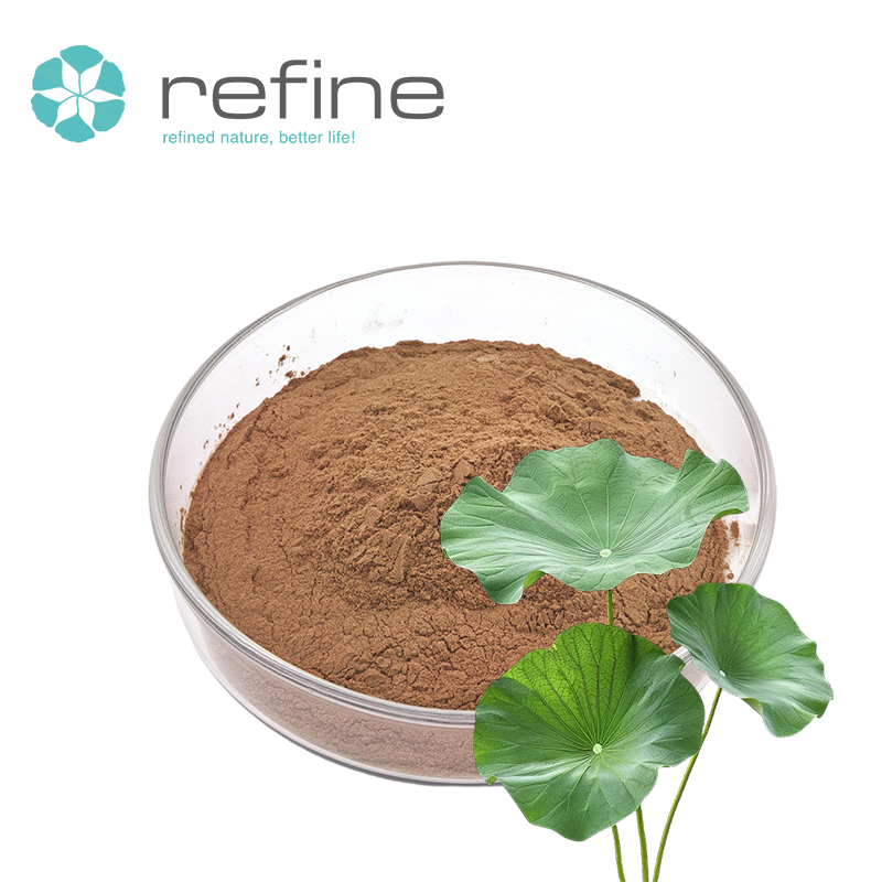 High Quality Lotus Leaf Extract Powder Nuciferine 2% 4% 98% Natural Lotus Leaf Extract for Weight Lose