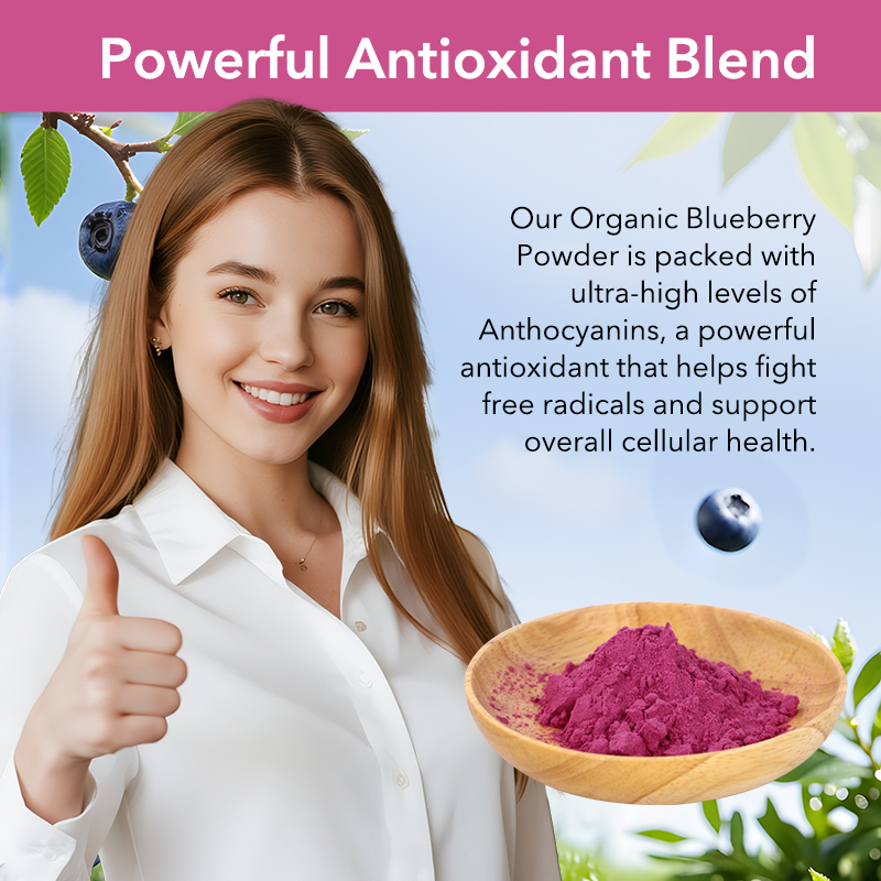 AMULYN Natural Organic Freeze Dried Wild Blueberry Herbal Extract Powder HPLC Testing Vacuum Packed Food Grade Anthocyanins