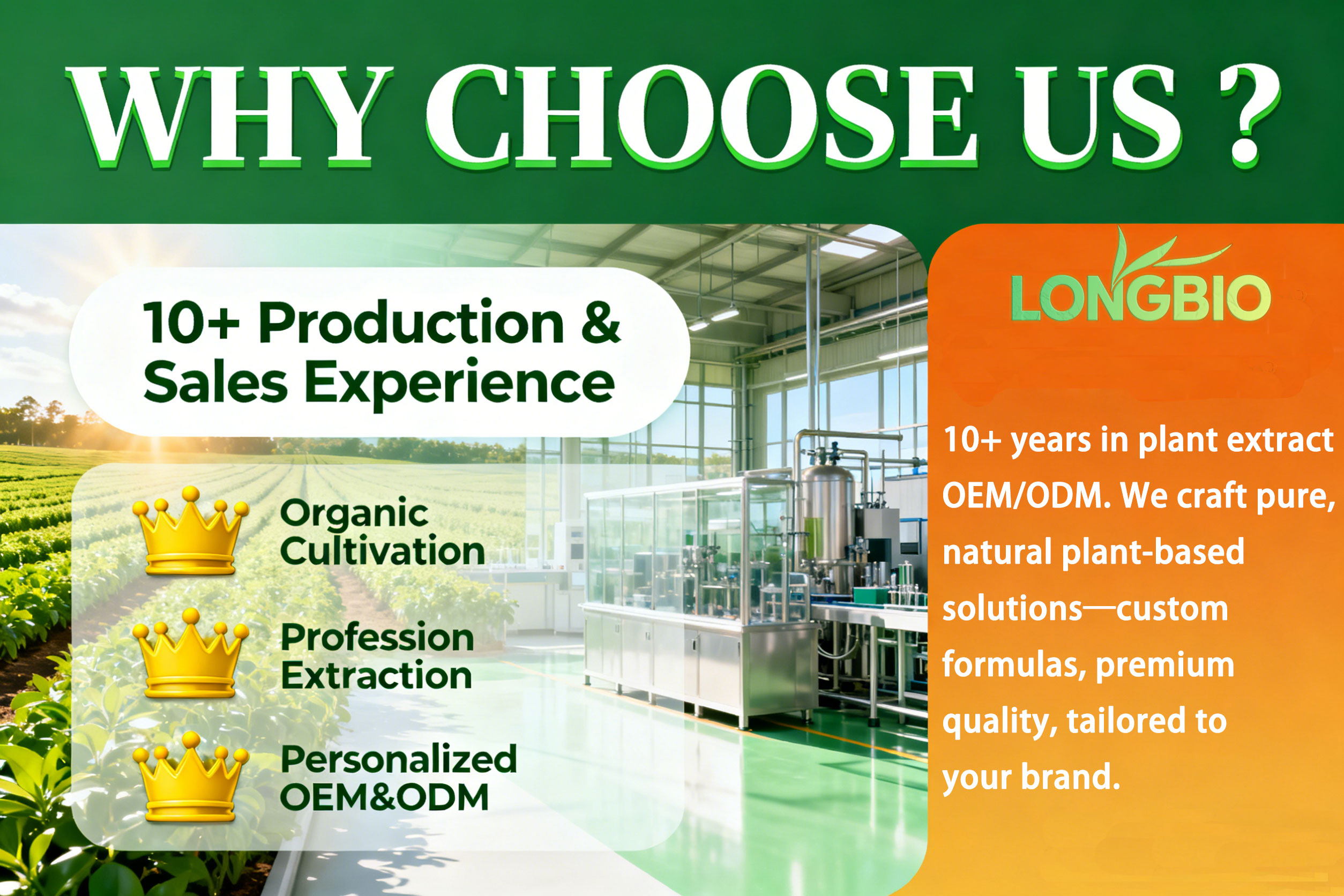 Why Choose Us advantages