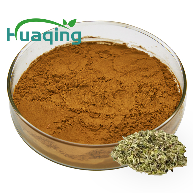 Natural Damiana Leaf Extract Powder