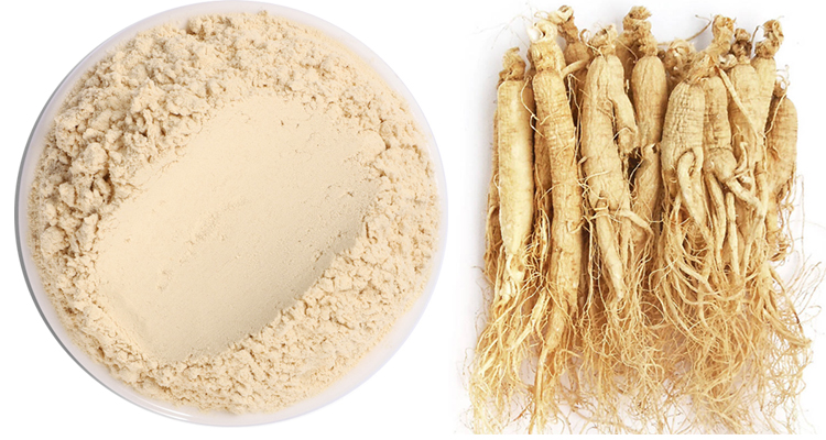 Product Description Image