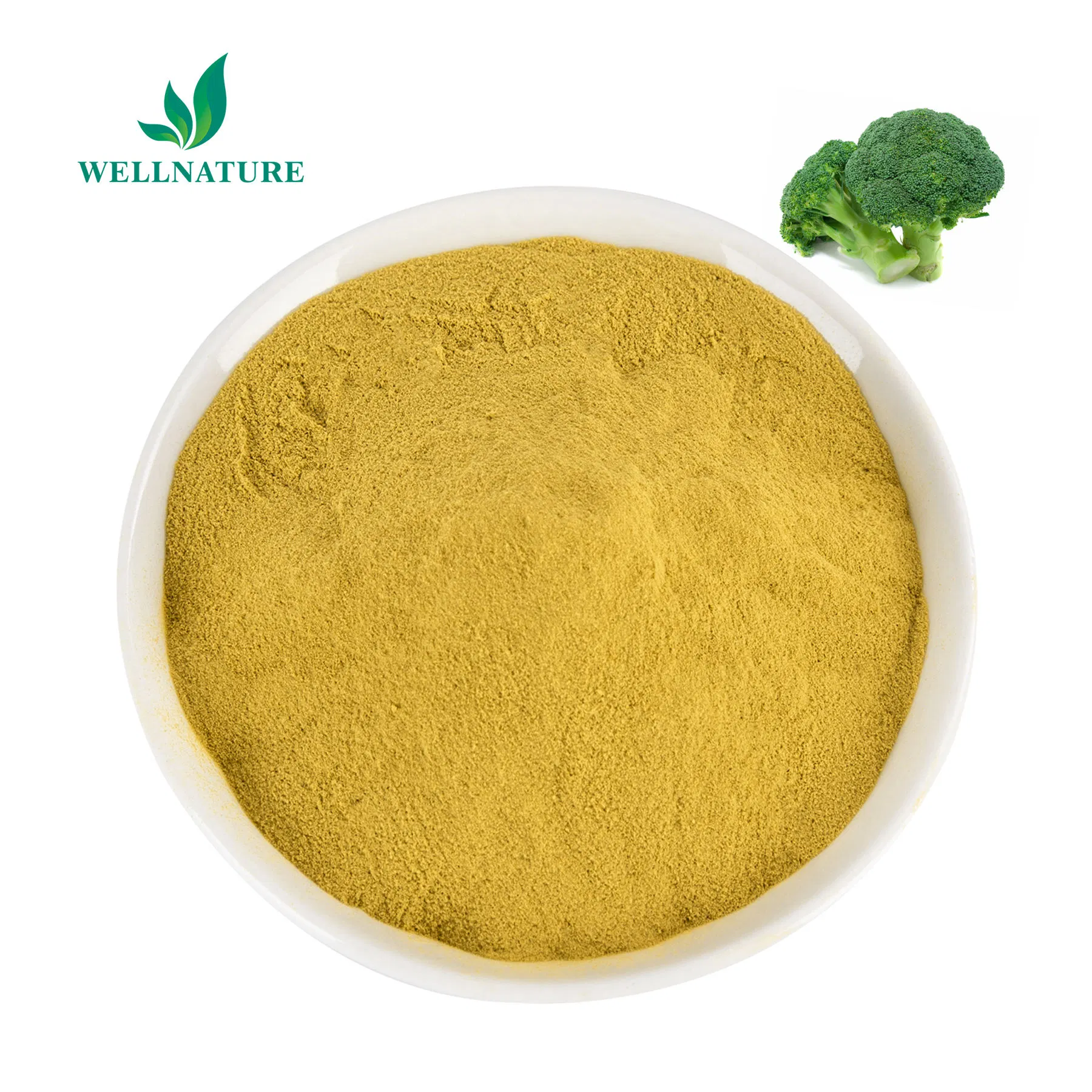 Standardized Broccoli Seed Extract 10% Sulforaphane Glucosinolate for Nutraceuticals with COA (Non-GMO)