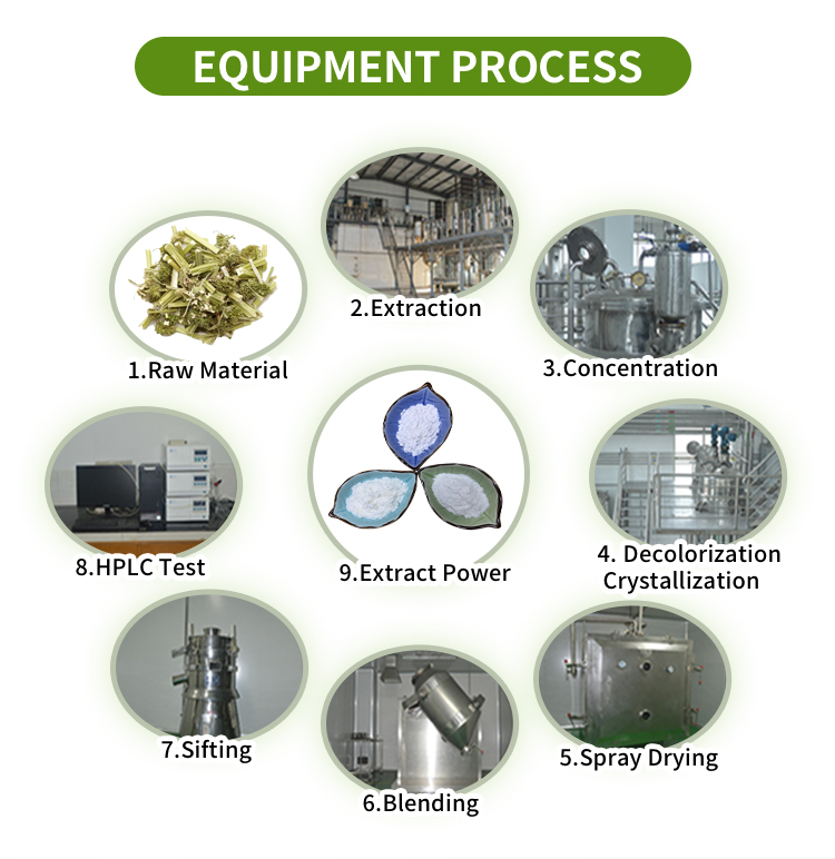 Production Flow Chart