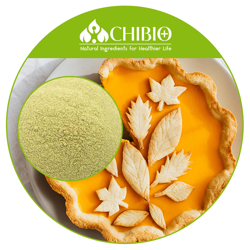 Seaweed Sourced Alginic Acid Powder Pure Vegetal Extracted Best Price for Softening Agent for Breads