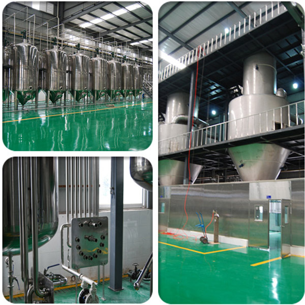 Manufacturers Supply Natural Freeze Dried Vegetable Ecdysterone Spinach Extract Powder Spinach Juice Powder in Food Grade