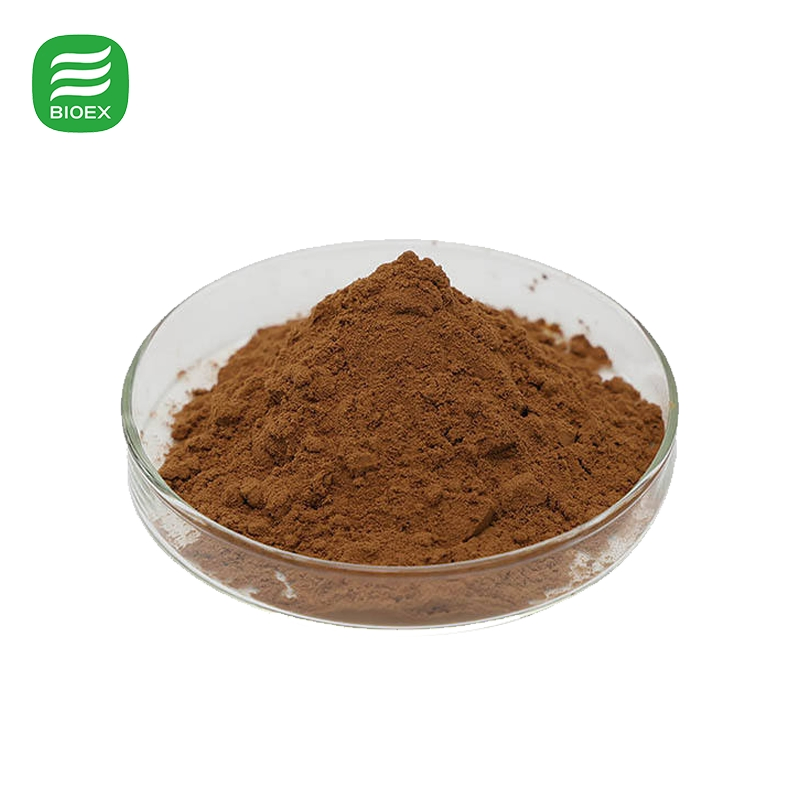 High Quality Angelica Sinensis Root Extract Standardized Ligustilide Ferulic Acid for Nutraceuticals