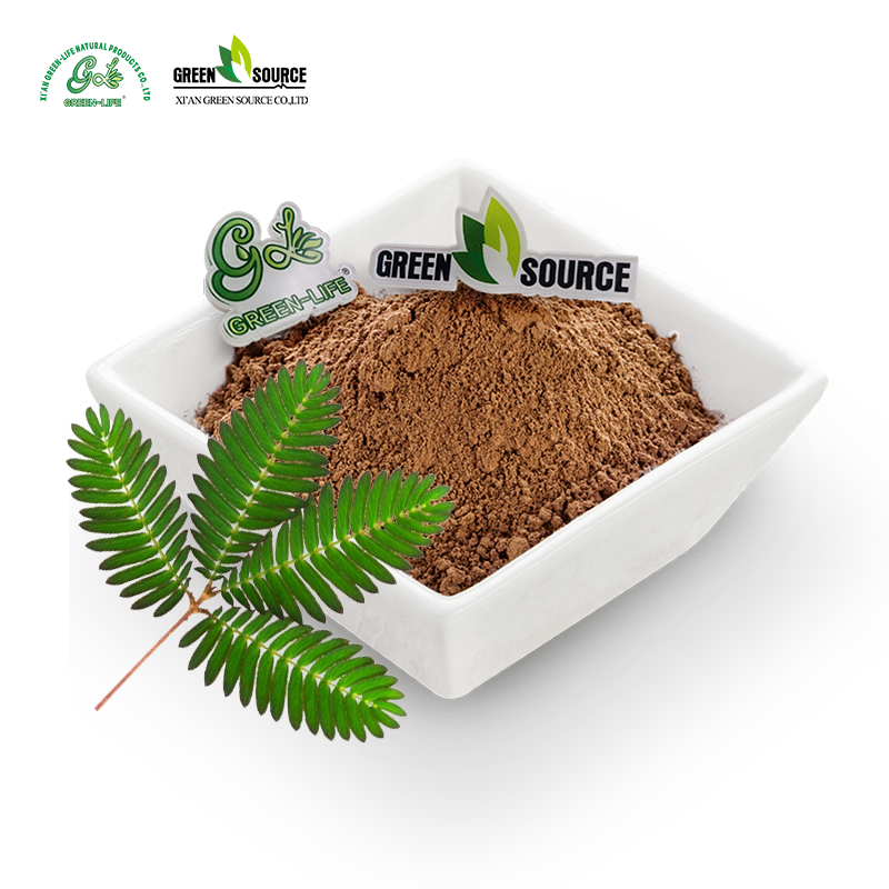 Natural Mimosa Extract Powder Purity Herbal Supplement for Health Food Cosmetic Industry Bulk Supply OEM ODM