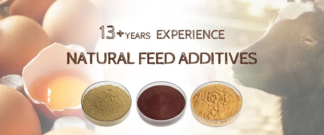 Original Herbal Extract Hot Selling Feed Addictive Yucca Schidigera Extract Liquid