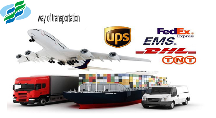 Shipping Logistics