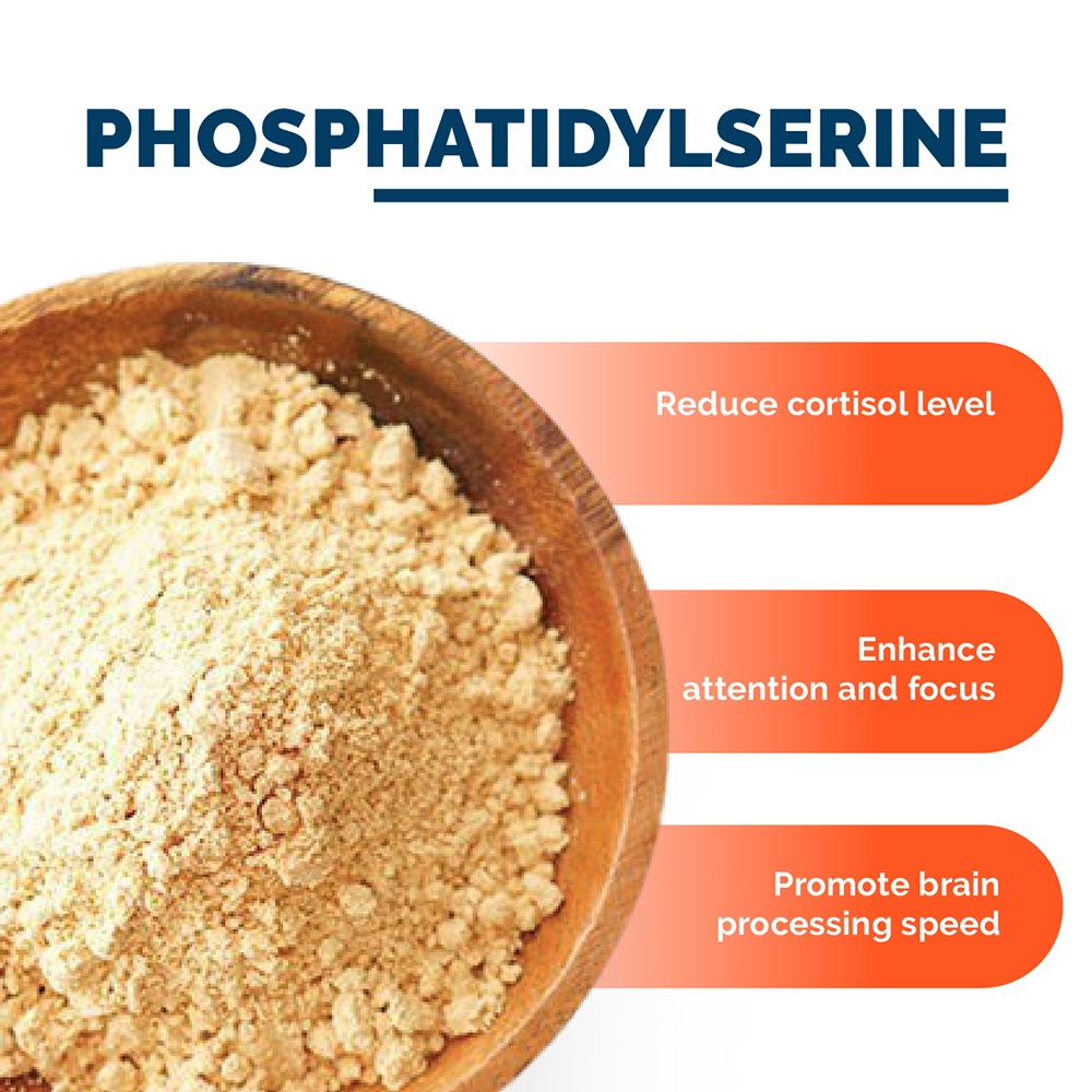 Wholesale Price Standardized Botanical 50% Soybean Extract Phosphatidylserine Powder