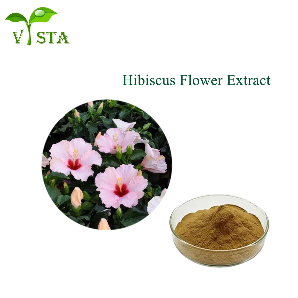 High Quality Plant Extract 5% 10% 20% Anthocyanidins Powder Roselle Extract Hibiscus Sabdariffa Flower Extract