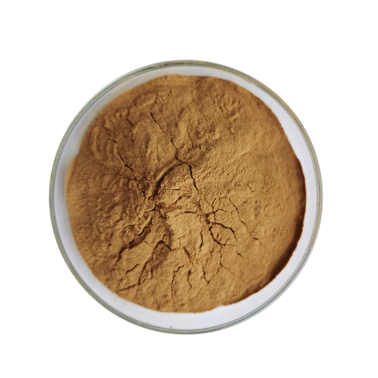 100% Pure Food Grade Instant Yerba Mate Leaf Extract Powder in Drum Packaging