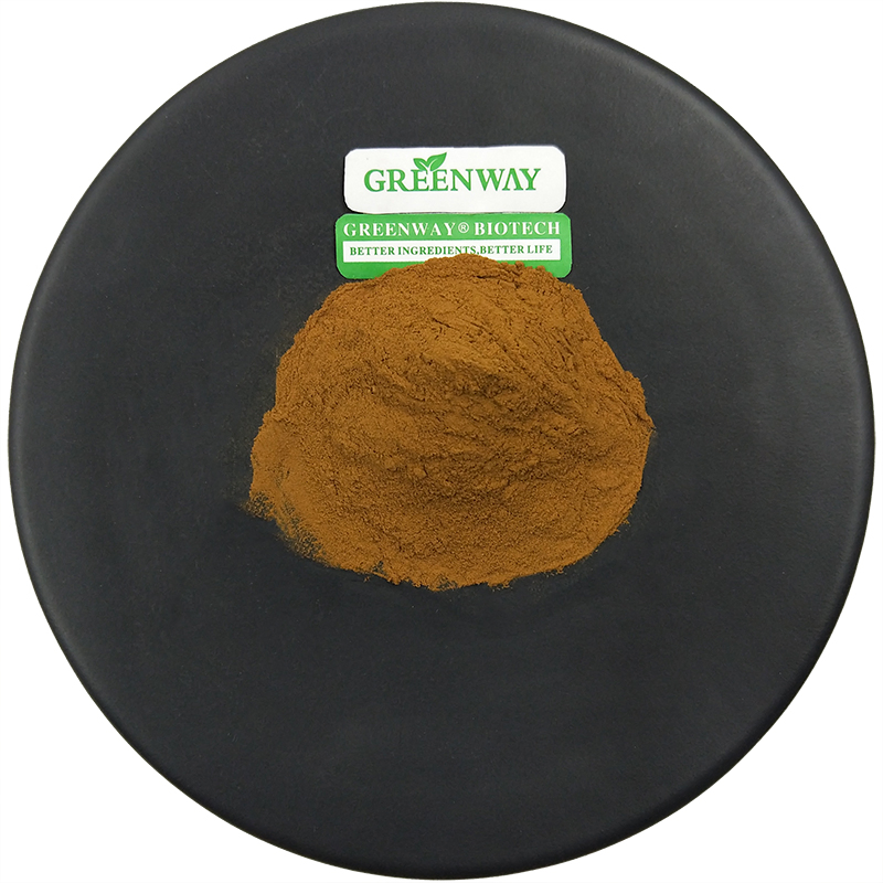 Health Supplement 100% Pure Natural Organic Herbal 10: 1 Brahmi/Bacopa Monniera Leaf/Bacopa Monnieri Extract Powder with 10% 20% 40% 45% 50% 60% 80% Bacopasides