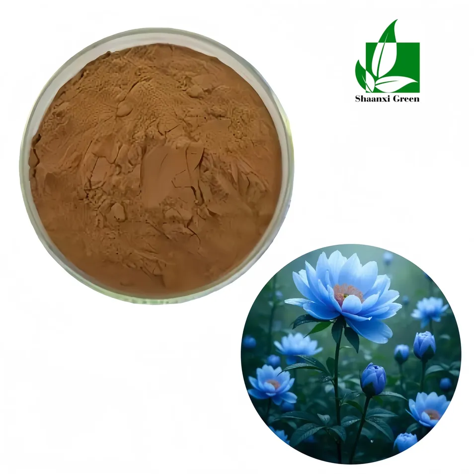Blue Lotus Flower Extract Nymphaea Caerulea Extract 200: 1 details