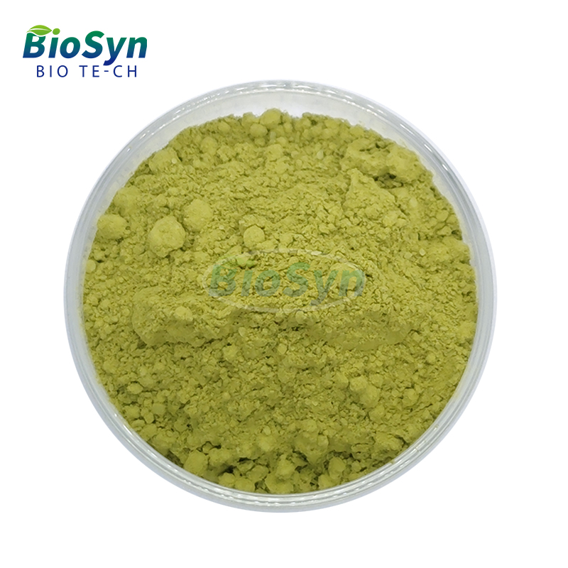 BioSyn Wholesale Price Broccoli Seed Extract Natural Pure Organic Fresh Broccoli Powder for Sale