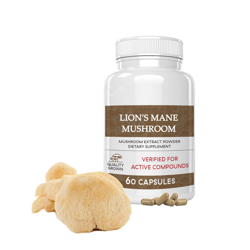 Organic Hericium Erinaceus Extract Powder Lions Mane Mushroom Extract