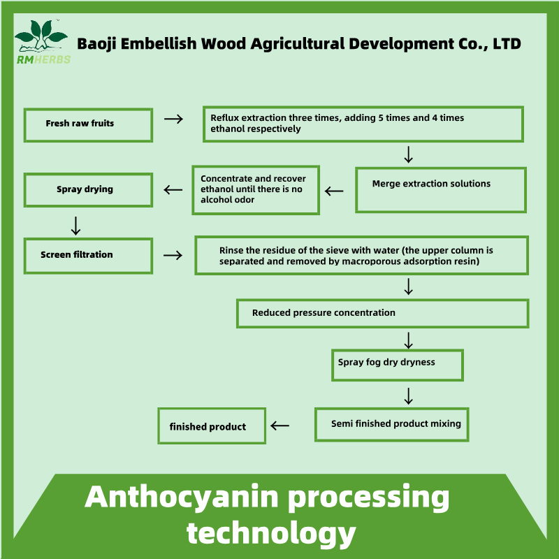 Premium Plant Extract Indigo Anthocyanins Extract 5%-25% for Health Benefits