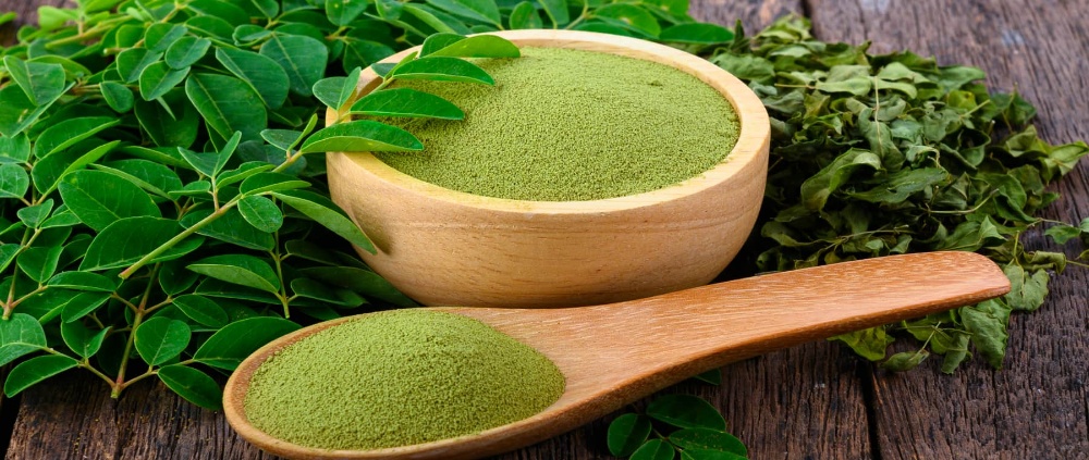 Moringa Leaf Powder Specifications