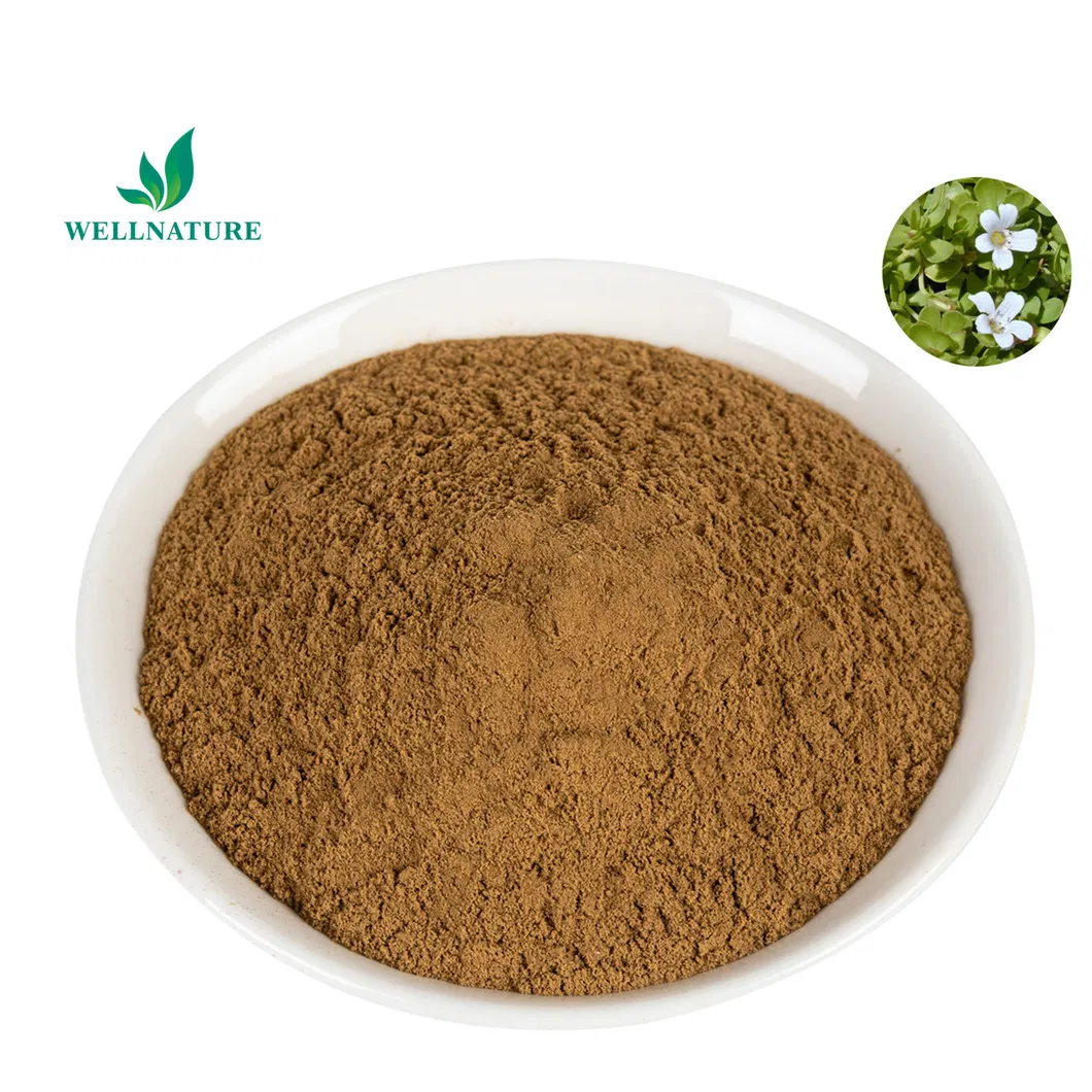 Bacopa Monnieri Product Detail