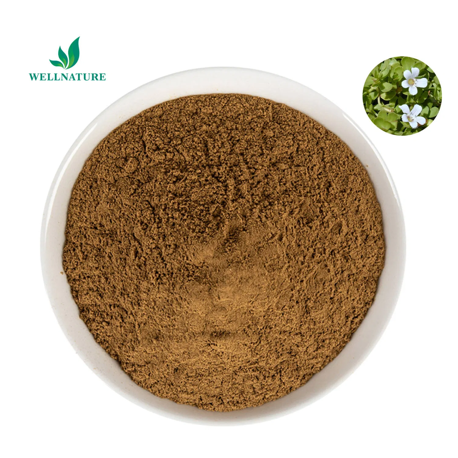 Standardized Bacopa Monnieri Extract 20% Bacosides for Memory Enhancement and Cognitive Support