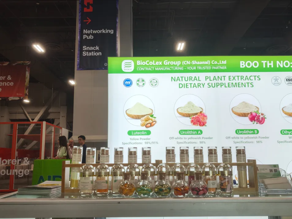 High Quality Echinacea Extract 7% Polyphenols by HPLC for Nutraceutical Production