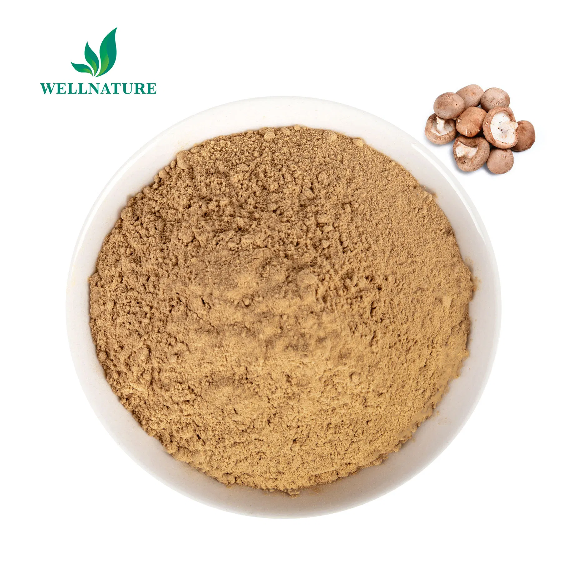 Organic Shiitake Extract 30% Beta Glucans for Premium Nutraceuticals and Research (Lentinan, COA)