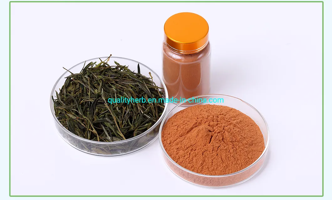 Natural Food Grade Tea Polyphenols EGCG Green Tea Extract Herbal Plant