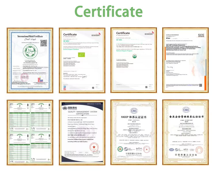 Certification 1