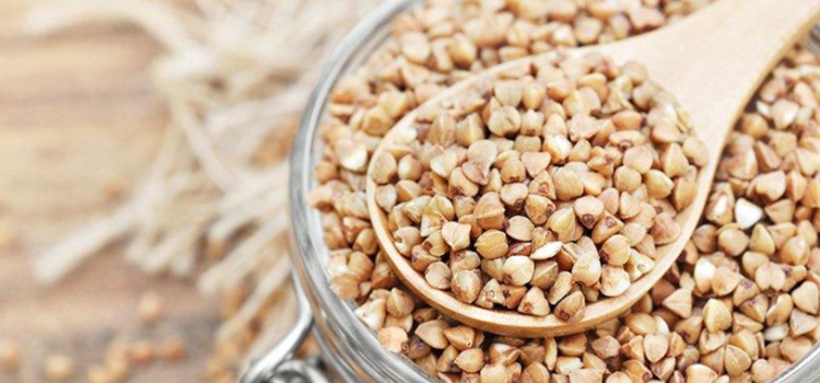Sophora Alopecuroide Seed Extract