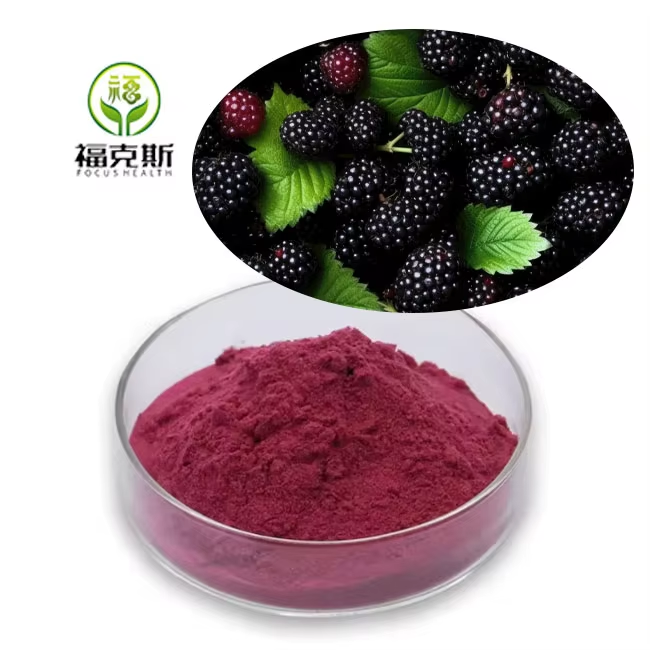 Mulberry Fruit Powder Factory Wholesale Mulberry Fruit Juice Powder Premium Plant Extract For Health &amp; Wellness