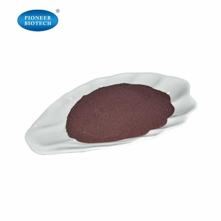 Factory Bulk Supply 95% Grape Seed Extract Powder 84929-27-1