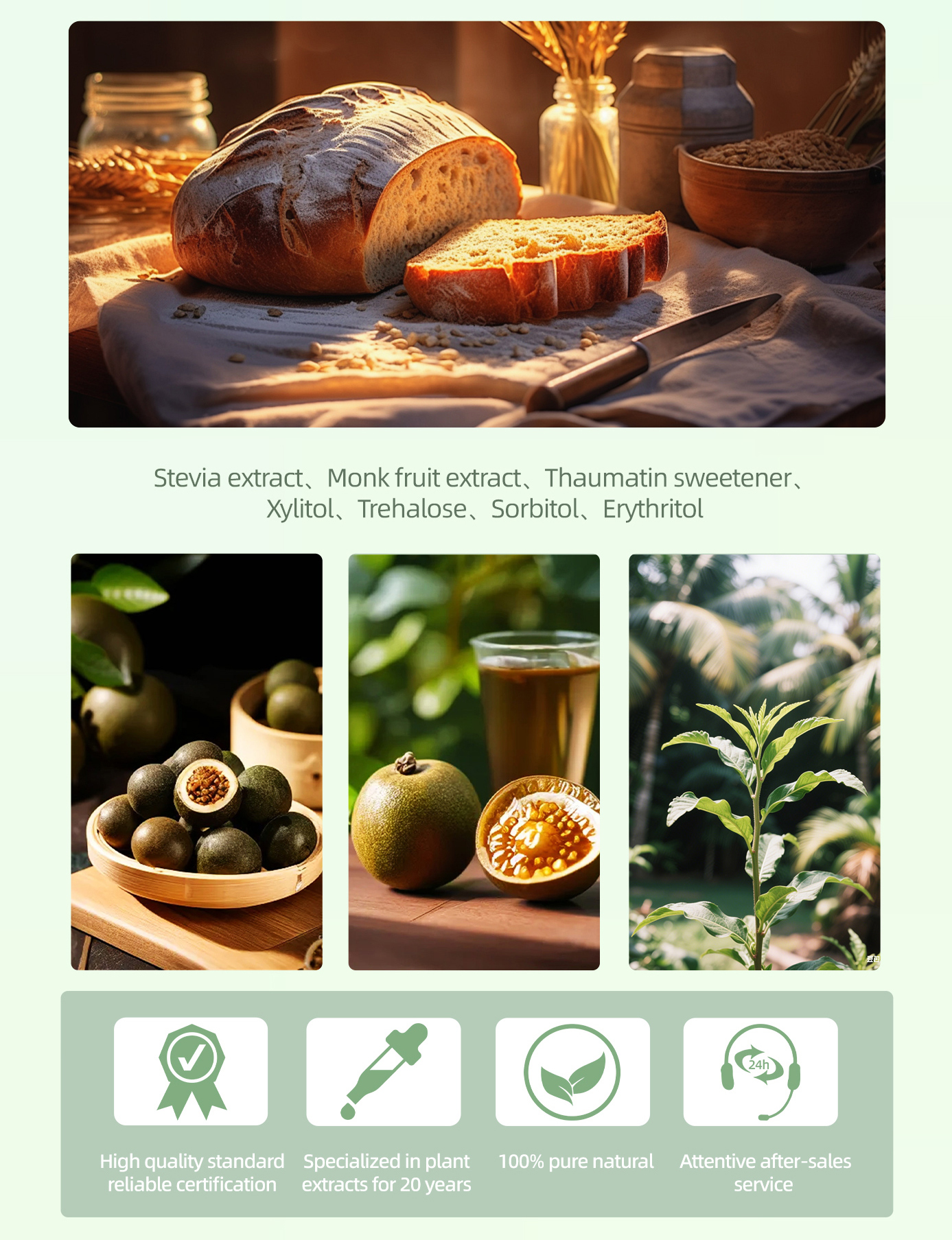 Monk Fruit Sweetener Benefits
