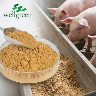 Standardized Yucca Extract High in Saponins for Feed Additive with B50 Test Report
