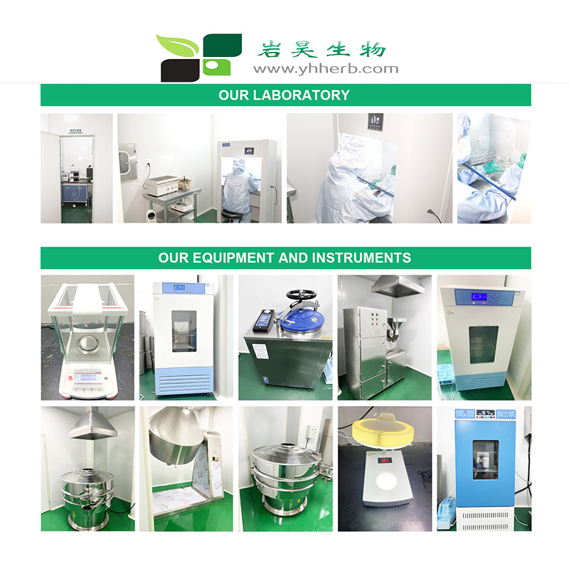 Organic Stevia Extract Rebaudioside M 95% Powder RA RM RD Stevia Extract Rebaudioside