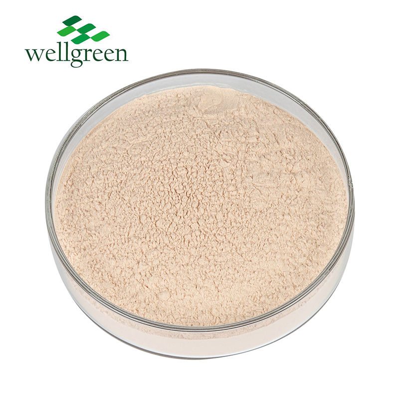 Standardized with Bioactive Avenanthramides for Anti-Itch, Redness Reduction and Cosmetic Actives Oat Extract