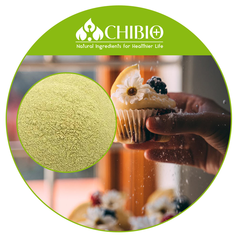 Seaweed Sourced Alginic Acid Powder Pure Vegetal Extracted Best Price for Softening Agent for Breads