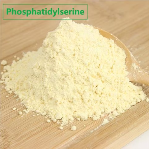 Wholesale Price Standardized Botanical 50% Soybean Extract Phosphatidylserine Powder