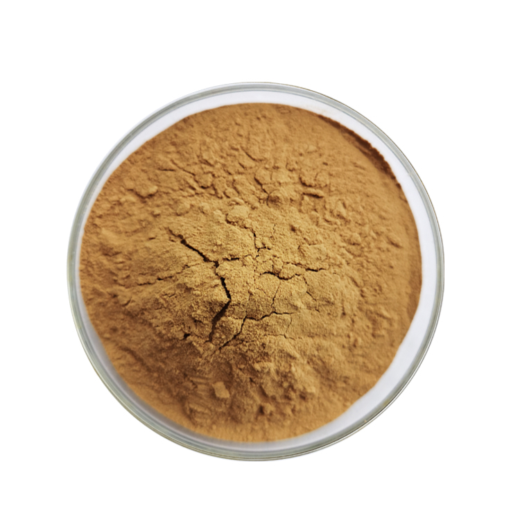 Valerian Root Extract Powder