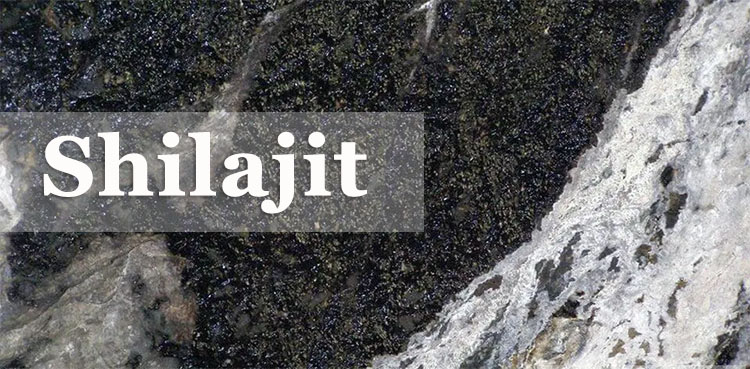 Shilajit Extract
