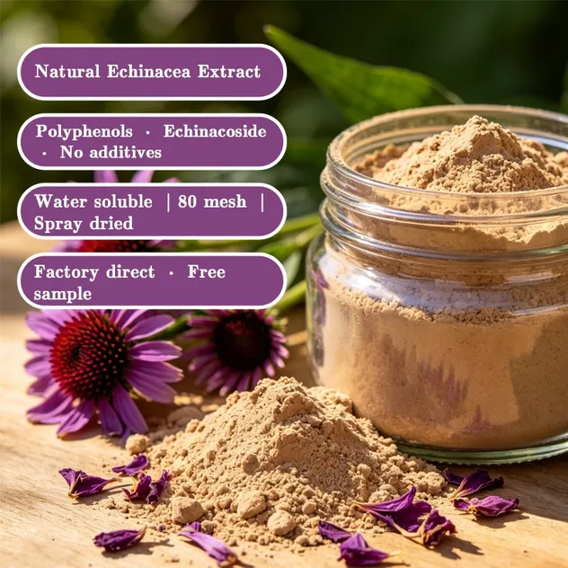 High Quality Echinacea Extract 7% Polyphenols by HPLC for Nutraceutical Production