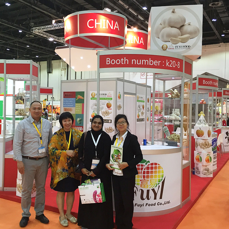 Dubai Fair