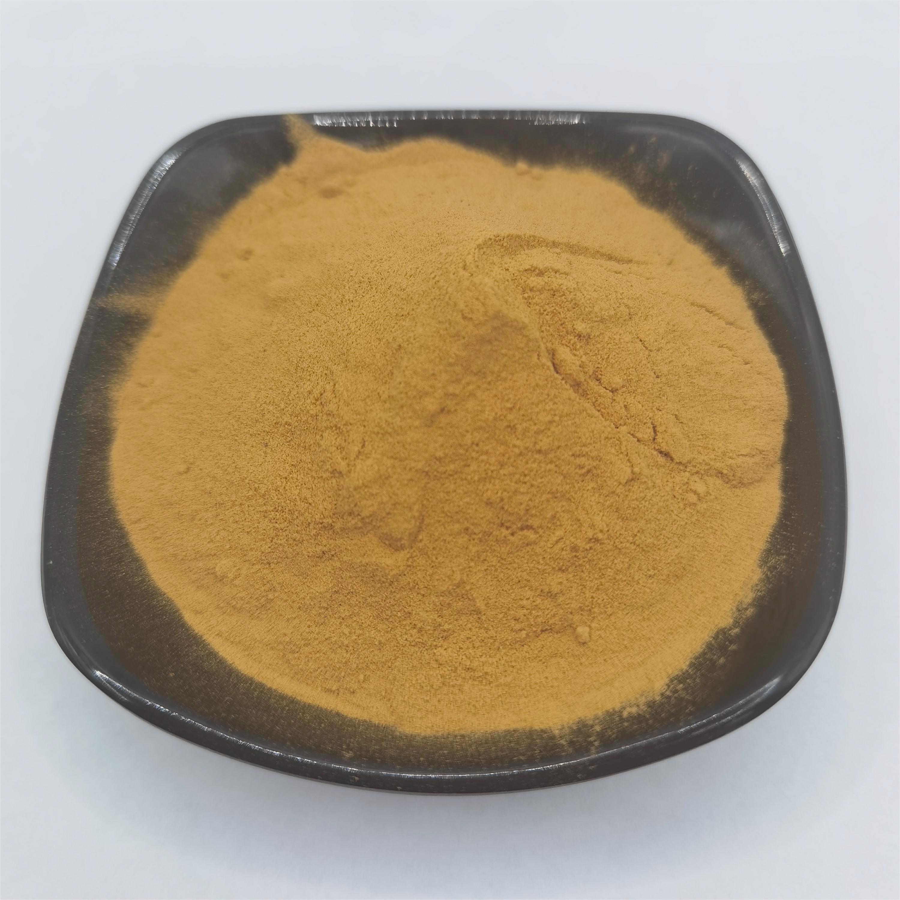 100% Pure Natural Senna Leaf Extract 10:1 Food Grade Water Extracted Packaged in Drum