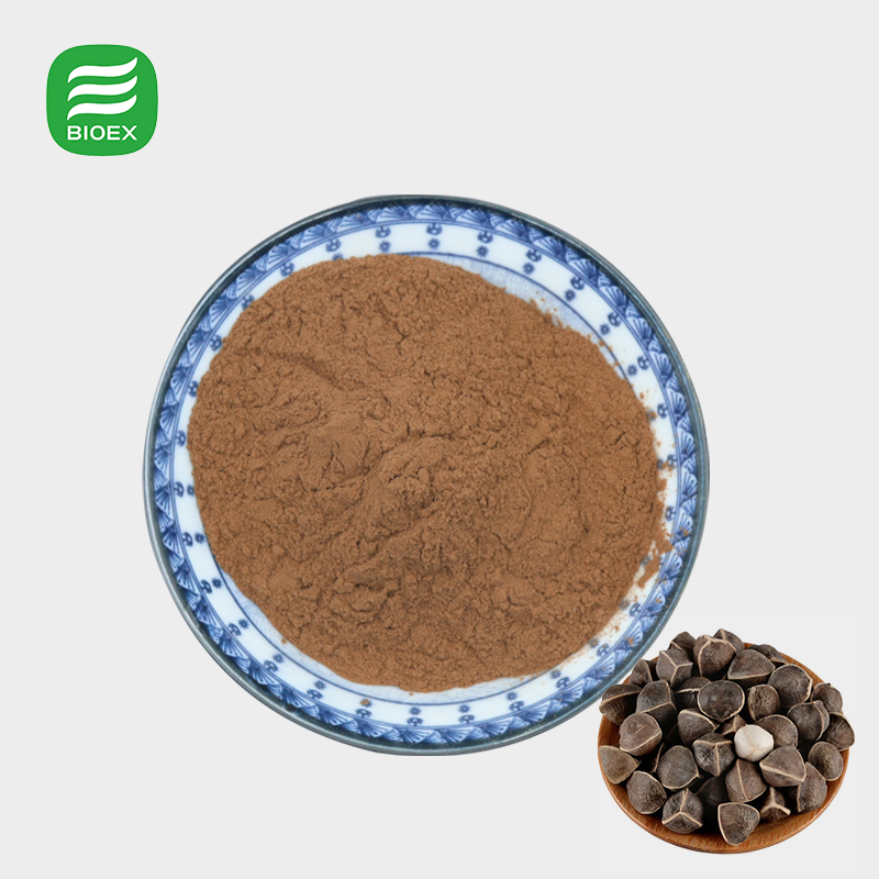 BioLex OEM Customized Moringa Seed Extract 10:1 for Nutraceutical and Cosmetic Applications
