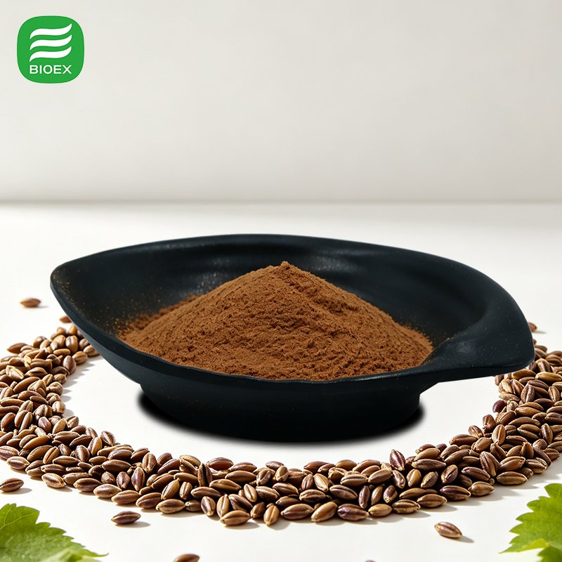 Pure Natural Plant Extracts OPC 95% Proanthocyanidins Grape Seed Extract