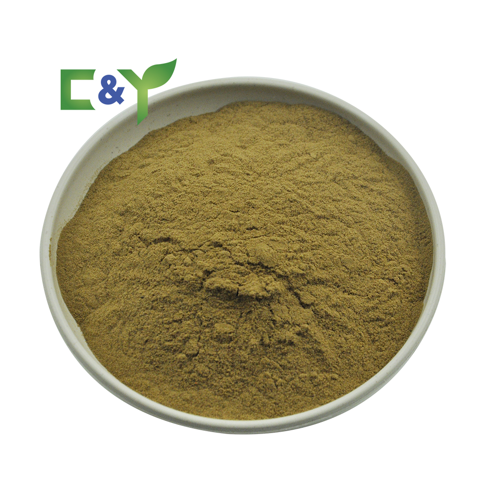 Factory Supply Customize Private Fresh Okra Vegetables Dried Okra Seed Extract Powder Okra Powder Capsules