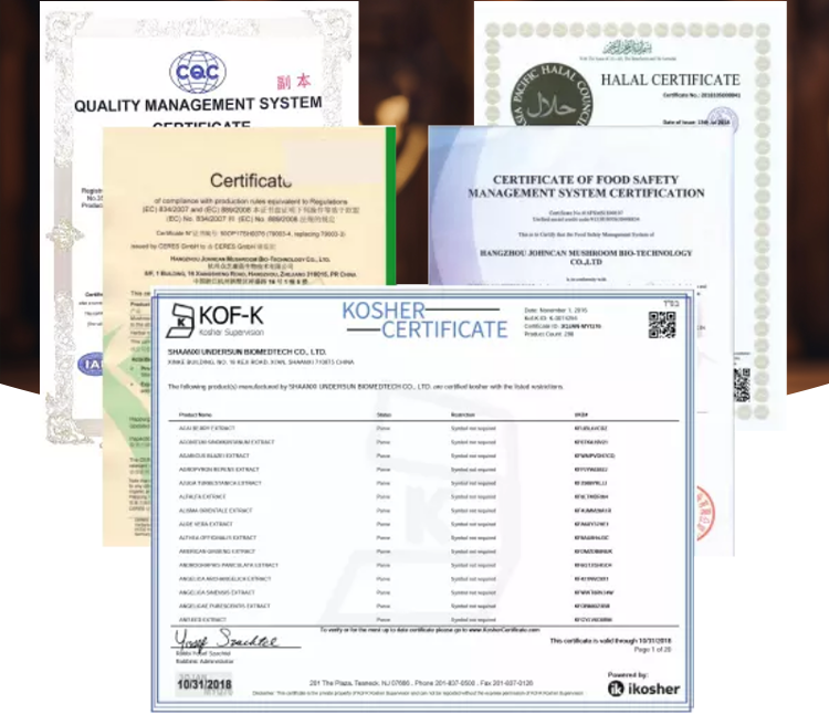 Pure Organic Food Grade Herbal Extract Lotus Leaf Extract Nuciferine 10:1