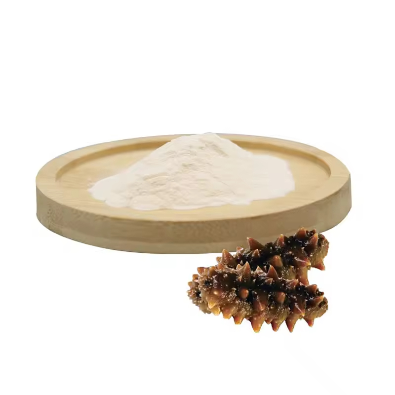 Selected sea cucumber content sea cucumber peptide powder marine life extract stock available wholesales price