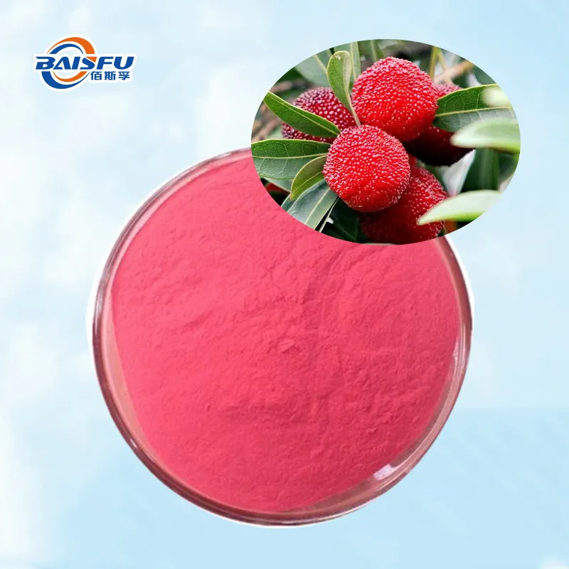 Freeze-Dried Waxberry Powder Natural Plant Extract for Beverages Nutraceuticals